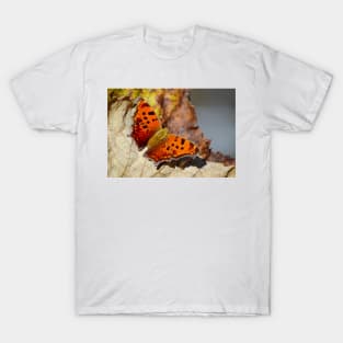 Eastern Comma Butterfly T-Shirt